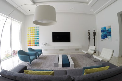 Mid-sized trendy living room photo in Miami