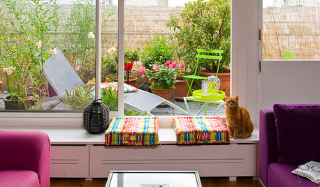 Houzz Tour: A Bright and Colourful Parisian Flat With a Roof Terrace