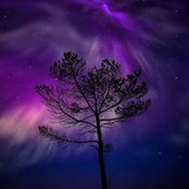 Myra Sterling's photo