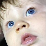 Robert Meyer's photo