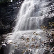 Kelly Nelson's photo