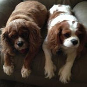 Foto von Donna Reed