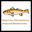 Redfish Rendering llc