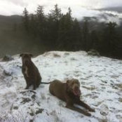 Nick Greufe's photo