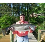 John Chewning's photo