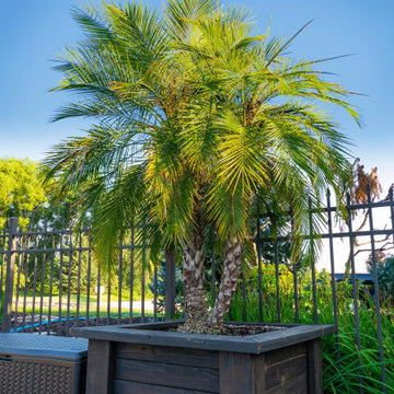De Pere Palms
