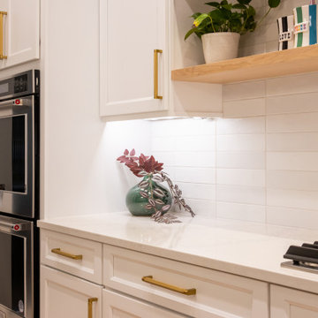 Andersonville Full Home Renovation