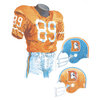 Original Art of the NFL 1968 Denver Broncos Uniform