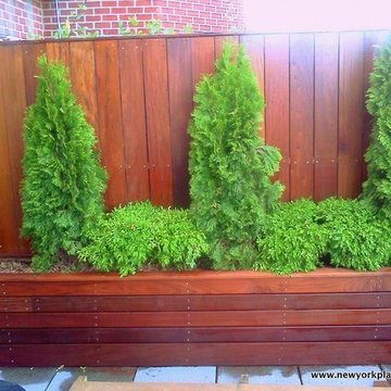 NYC Rooftop Garden - Roof Deck and Outdoor Dining