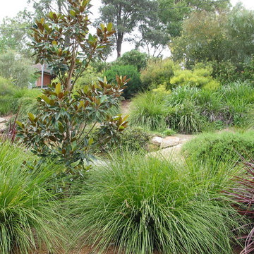 Plant combinations