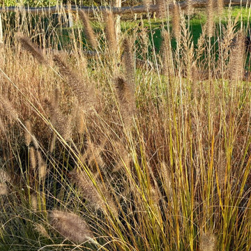 Jardin à Maule