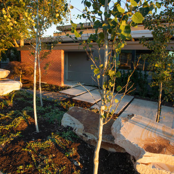 Ground Cover And Boulders In Front Yard