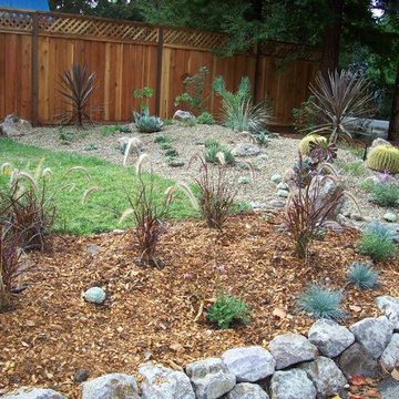 Walnut Creek Garden Transformation