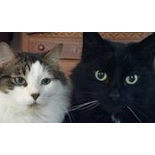 Laini Sporbert's photo