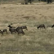 John Ghenes's photo