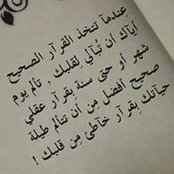 Al-Shaimaa Saleh's photo