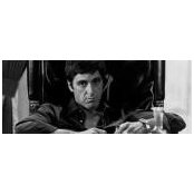 Tony Torchia's photo