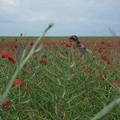 Monica Pad's photo