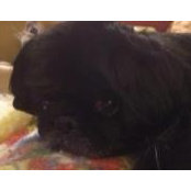 April Friedrichsen's photo