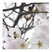 Robert Neman's photo