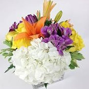Elmara Flowers's photo
