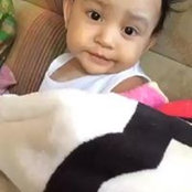 Mark Kenneth Pulvinar's photo