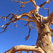 ania krawiec's photo