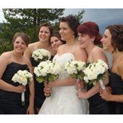 Chris Robin Lodge's photo