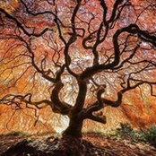 Amy Kozody's photo