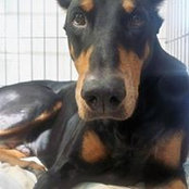 Richard Drouin's photo