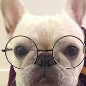 Jennifer McCracken's photo