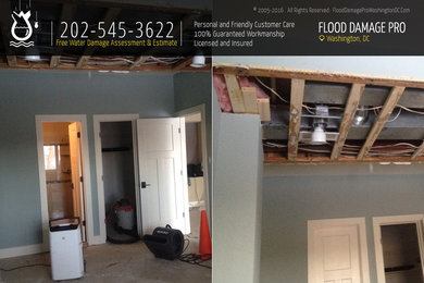 Water Damage Restoration and Mold Remediation