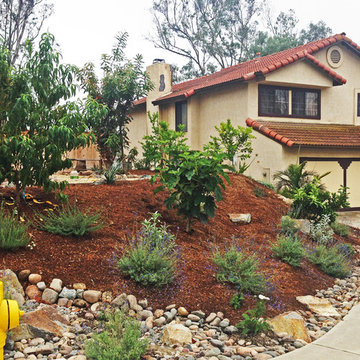 Scripps Ranch Naturalistic Kid-friendly Landscape