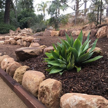 Bocce Ball And Pathway And Front Bench
