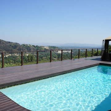 IPE color PVC DECK