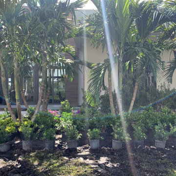 LANDSCAPING BEAUTY process