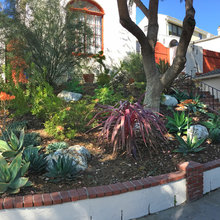 Front garden