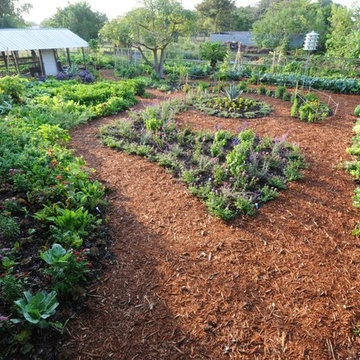 Edible Landscape Design Miami- Urban Gardening, raised Bed gardening, organic ga