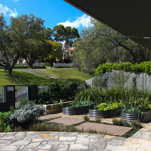 back/front yard