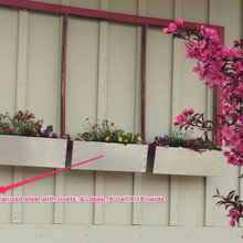 Window Boxes