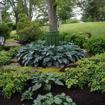 Focal point of the garden 12 years later