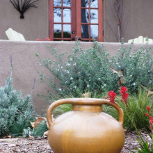 Mediterranean Landscaping