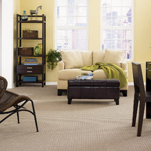 Carpet