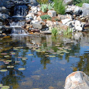 Water Features