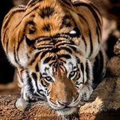 Kim Gann's photo
