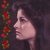 Peggy Roses foto