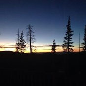 Ashton Anderson's photo