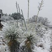 Sierra Duran's photo