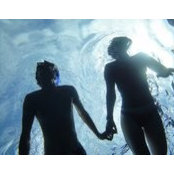 Heather Sandberg's photo