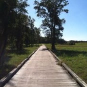 Jacob Lewis's photo